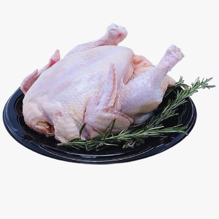 Gà Tây Thịt Thương Phẩm
